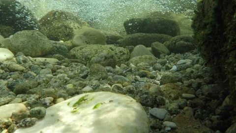 River Bottom 5 Stock Footage 105870105