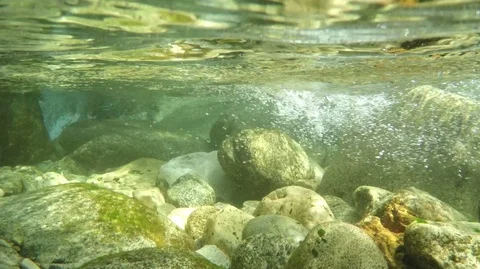 River Bottom 6 Stock Footage 105870354