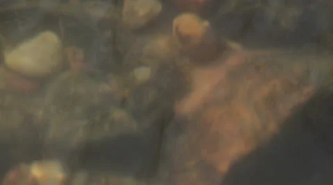 River bottom Stock Footage 48297009