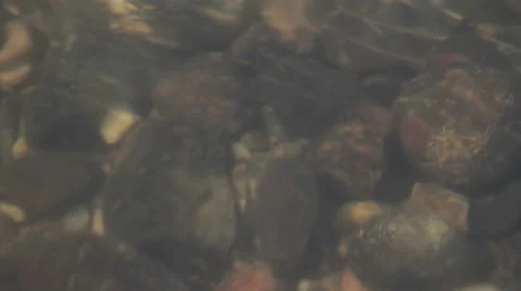 River bottom Stock Footage 48297733