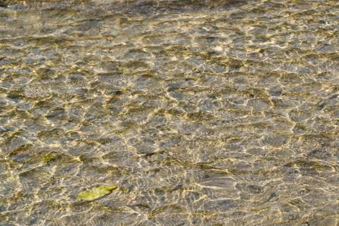 River bottom texture with waves in shallow water Stock Photos