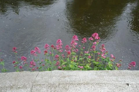 River Boyne Foto stock