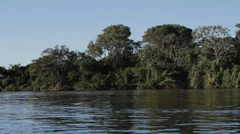 River in Brazil Vídeo Stock 11140463