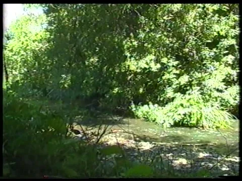 River Breeze Stock Footage 342688534