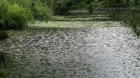 River Brett, flowing through Hadleigh Stock Footage 109137196