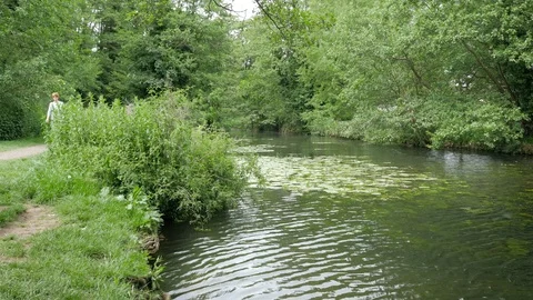 River Brett, flowing through Hadleigh Stock Footage 109138261