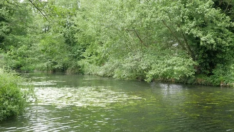 River Brett, flowing through Hadleigh Stock Footage 109177286