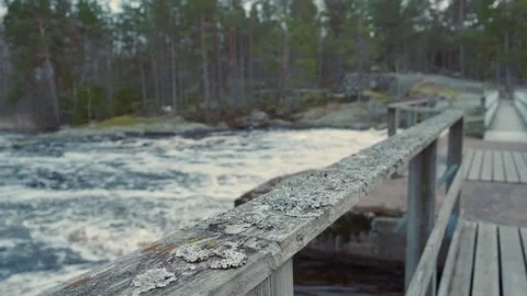 River Bridge 1 Video stock 268820733