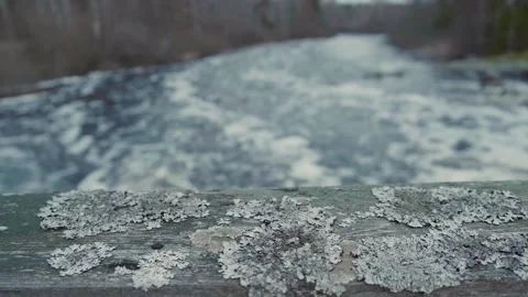 River Bridge 2 Video stock 268820794