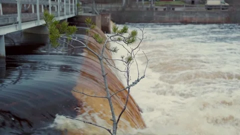 River Bridge 3 Video stock 268820039