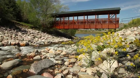 River bridge and flower Vídeos de archivo 51387264