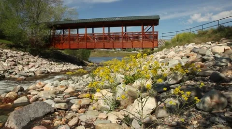 River bridge and flower pan Video stock 51387257