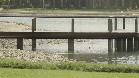 A River Bridge In Dubai 스톡 동영상 116249705