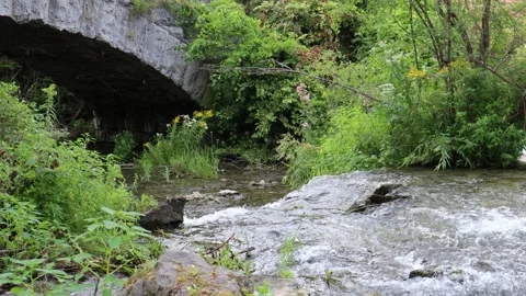 River Bridge Stock Footage 138480803
