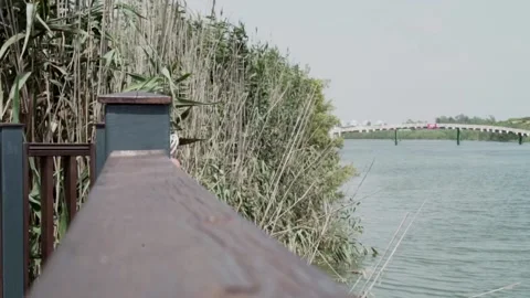 River bridge 스톡 동영상 157129971