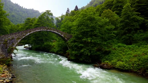 River to bridge Stock Footage 307416994