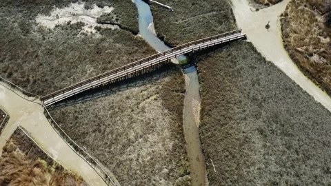 River bridge nature Video stock 274415229
