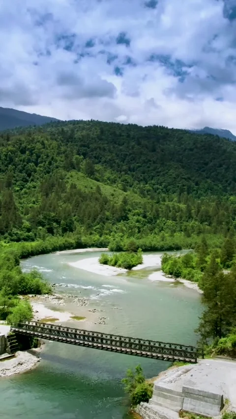 River Bridge over green forest (Aerial View) Stock Footage 290160442