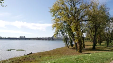 River With Bridge, Serene Landscape View Stock Footage 262216103