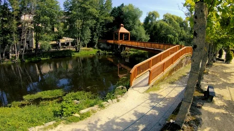 RIVER BRIDGE TREE NATURE Stock Footage 91038807