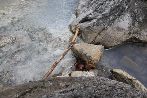 River bridge trees Stock Photos