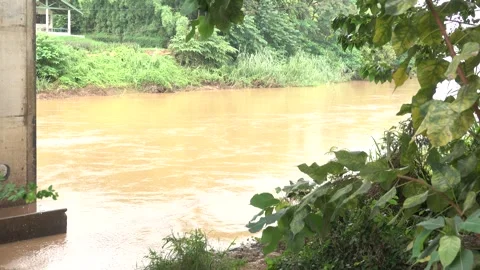A river is brown and muddy Stock Footage 289321750