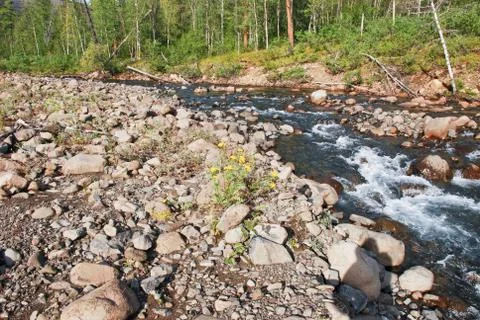 River Bucharama. Stock Photos