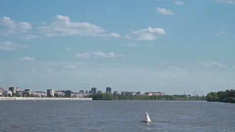 River buoy floats on the river Stock Footage 113535197