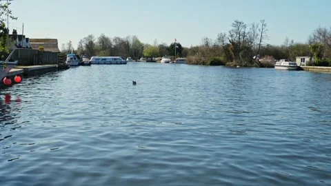 River Bure, Norfolk Broads Stock Footage 306460559