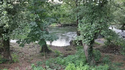 River Cabe in Monforte de Lemos Stock Footage 288674846