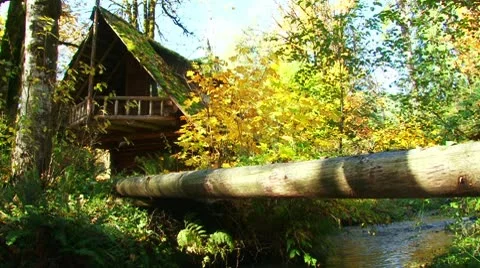 River Cabin in Autumn Video stock 10745546