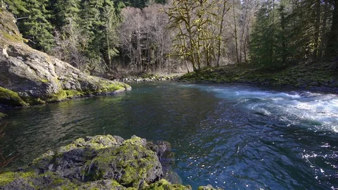 River calm water Stock Footage 87309500