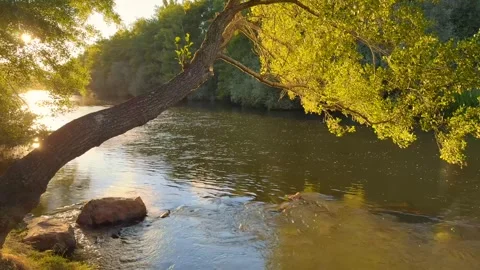 River of calm waters Stock Footage 288971044