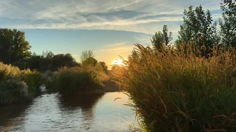 River of calm waters Stock Footage 288971143