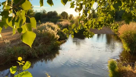 River of calm waters Stock Footage 288971146