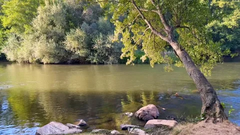 River of calm waters Stock Footage 288971168