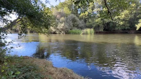 River of calm waters Stock Footage 288971192
