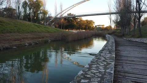 River calming view sky water reflections in a park surrounded by nature Stock Footage 146956389