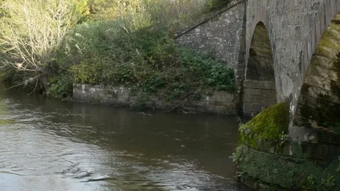 A River Calmly Flowing From Under A Railway Bridge Stock Footage 163365057