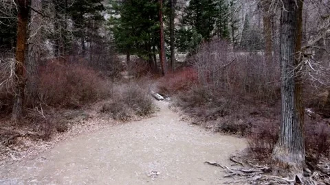 River Campsite Stock Footage 166003586