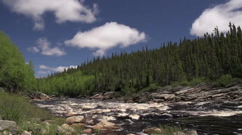 River in Canadian Wilderness Stock Footage 68680274
