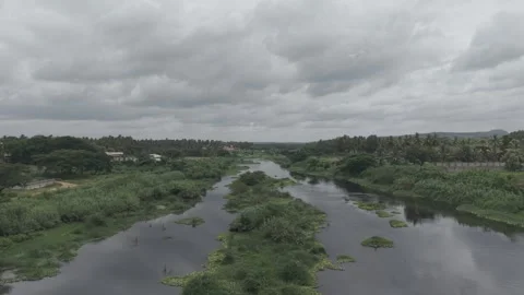 River cannal in between trees Stock Footage 311879952