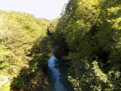 A river canyon between trees. Martvili canyon, Georgia Stock Photos