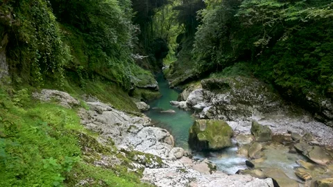 A river canyon, cliffs overgrown with green trees and moss in summer. Stock Footage 168373206