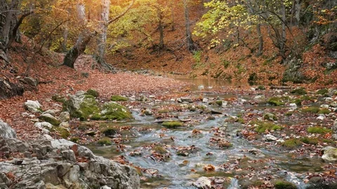 River into canyon. Video stock 97321249