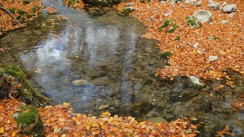 River into canyon. Video stock 97321257