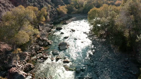 River in the canyon Stock-Footage 196073122