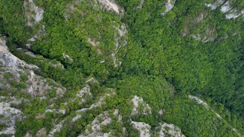 River canyon on mountain. Green trees on the mountain, aerial drone view. Stock Footage 291584791