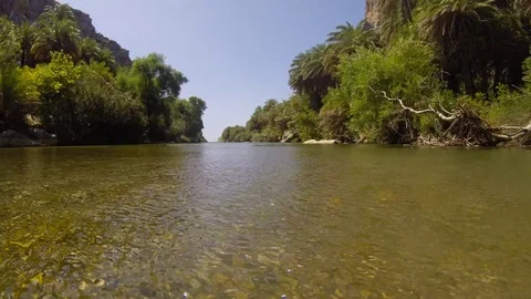 River in the canyon of Preveli in Creta Video stock 77297947