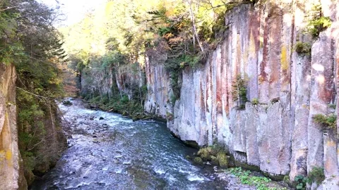 River Canyon | Steep Cliffs | Valley Flight - 4K Aerial Video Stock Footage 329046301